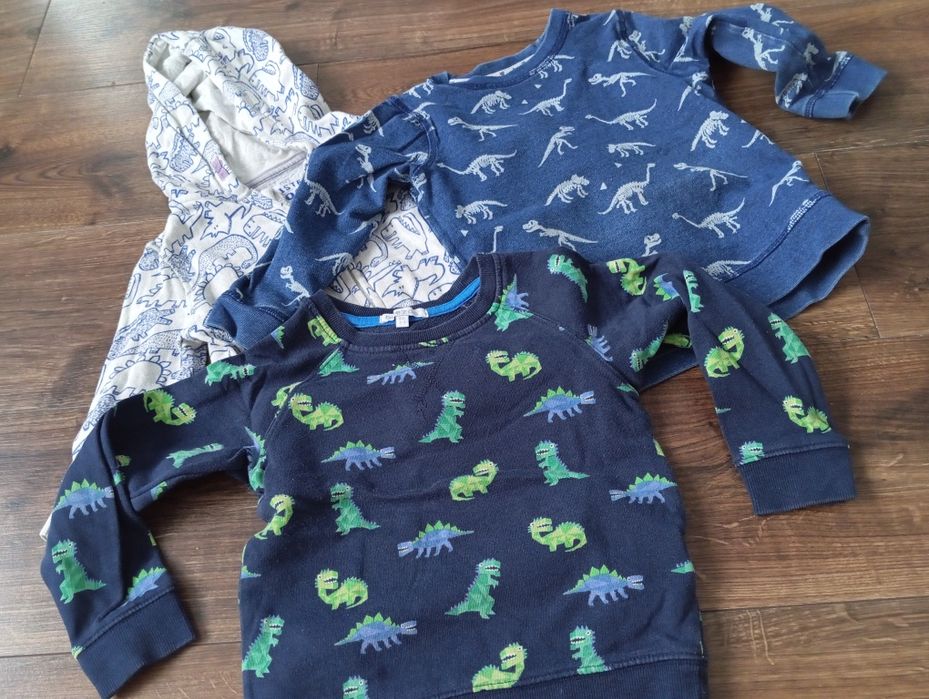 Bluzy bluza 92 dinozaury