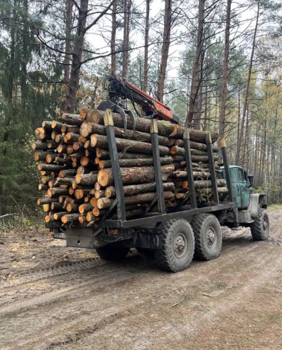 Дрова ОПТОМ та в роздріб. Тверді породи. Сезонні знижки. 4-26м3