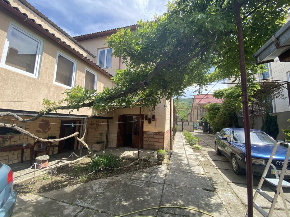 House in Vynohradiv, Tsilyna - View 5
