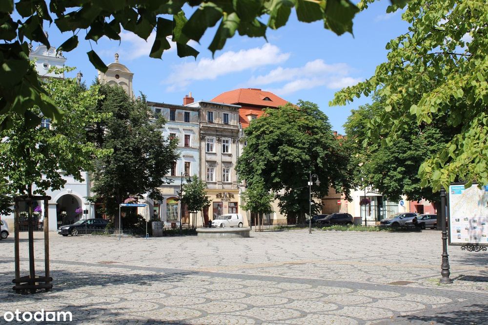 Na sprzedaż wyjątkowe, przestronne mieszkanie w zabytkowej kamienicy
