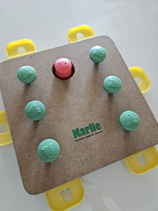 Karlie Doggy Brain Train – Jogo de Inteligência para Cães