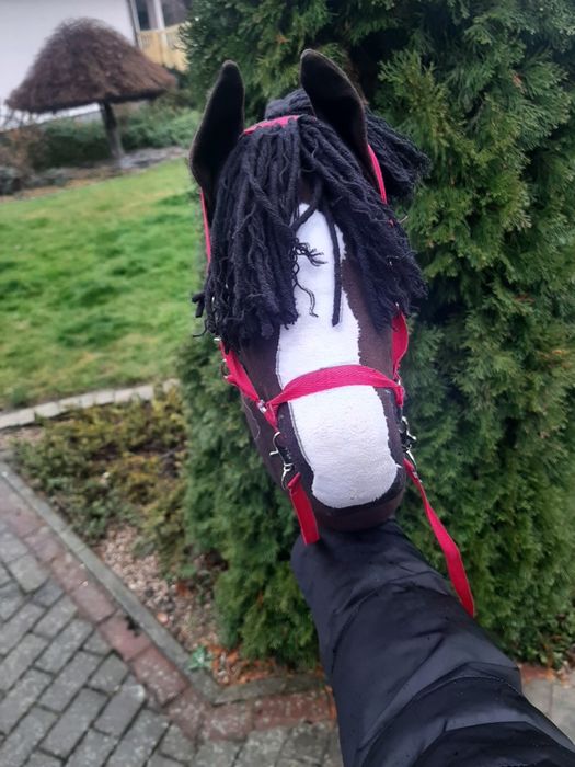 Hobby Horse Gniady