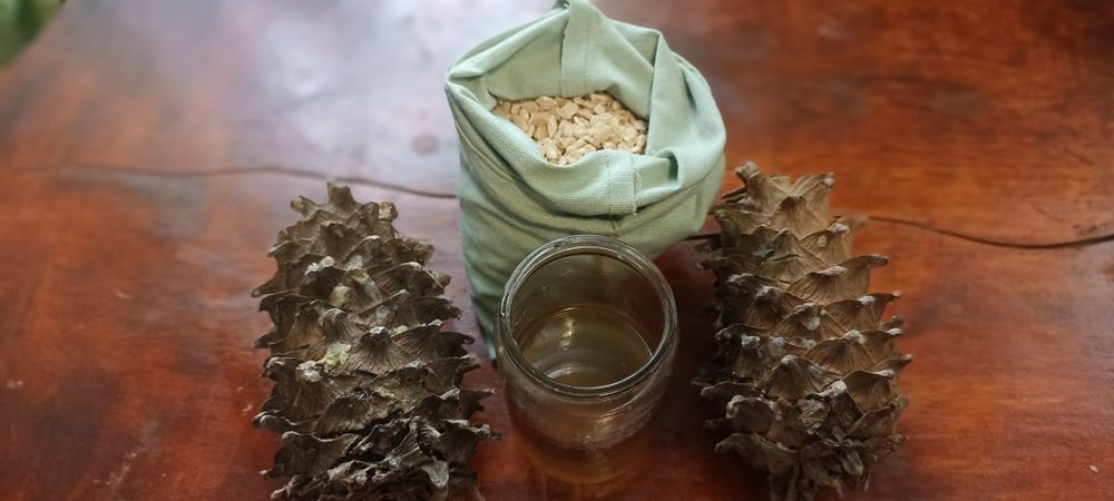 Кедровое масло свежевыжатое,Жива олія Сибірського кедру,Кедровое масл