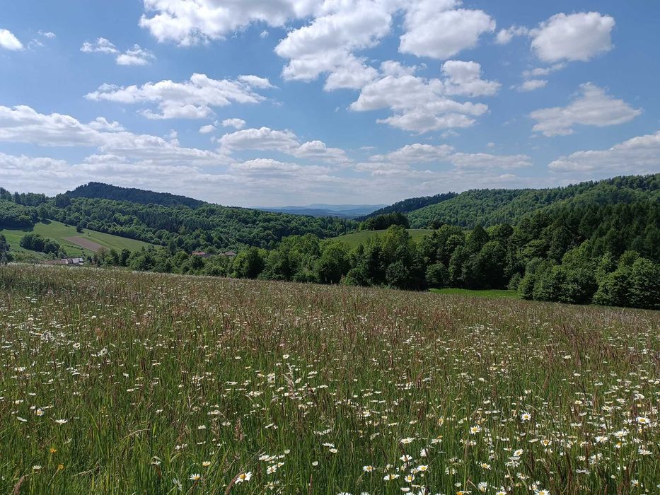 Działka rekreacyjna - Wujskie k. Sanoka, widok na Bieszczady