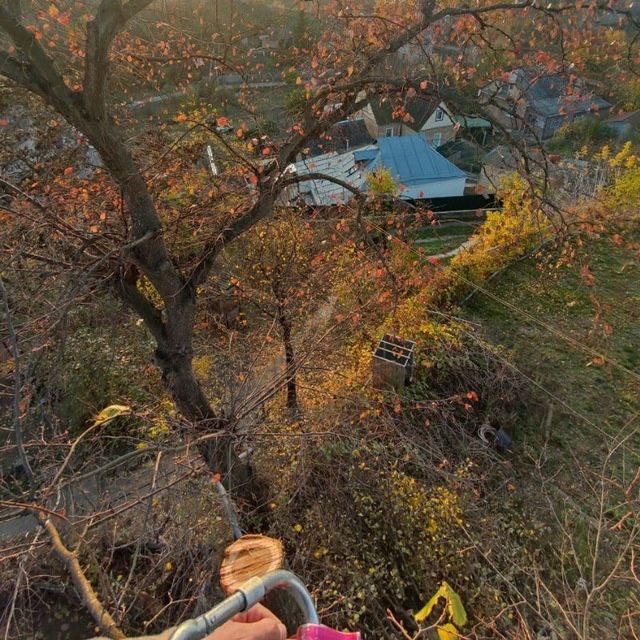 Зрізання дерев | обрізка , стрижка рослин | вантажні перевезення