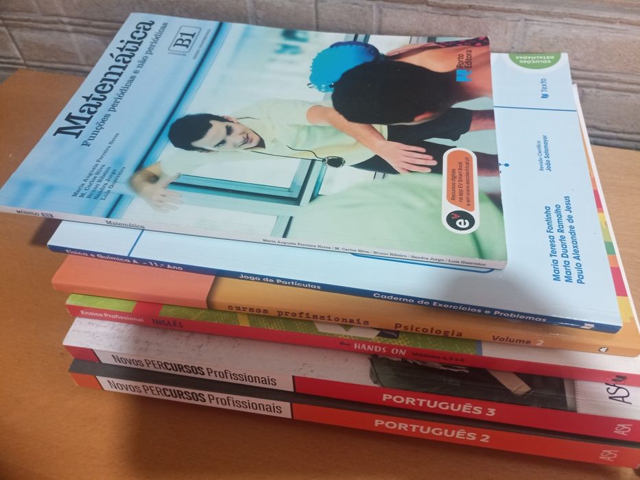 Conj. 10 Livros: cursos profis 11° anos