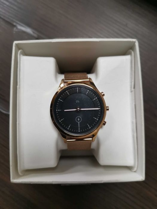 Zegarek Skagen DW12S1
