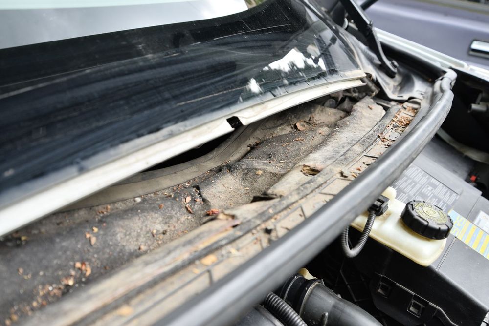 Жабо Рено Сценік 3.Накладка під лобове скло Renault SCENIC 3