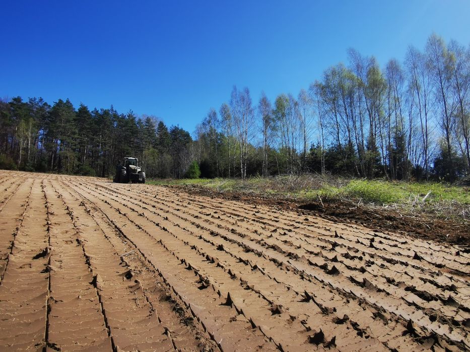 Mulczerowanie, rekultywacja gruntów,wycinka,  wycinka pod inwestycje