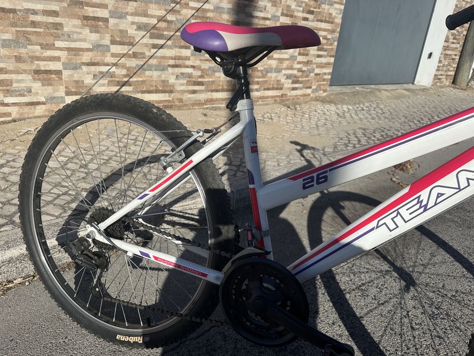 Bicicleta  senhora