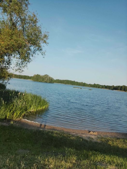 Zdjęcie 8