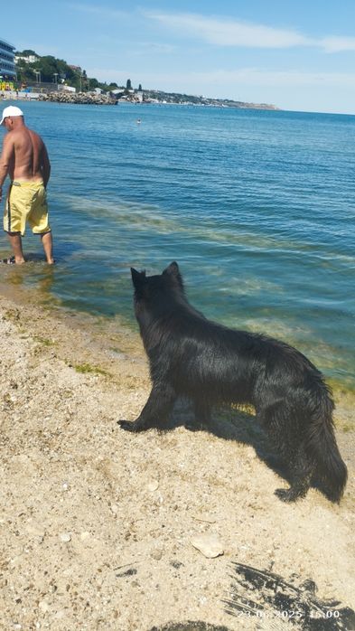 Гарний парубок Німець шукає собі дівчінку для шаленного коханняо