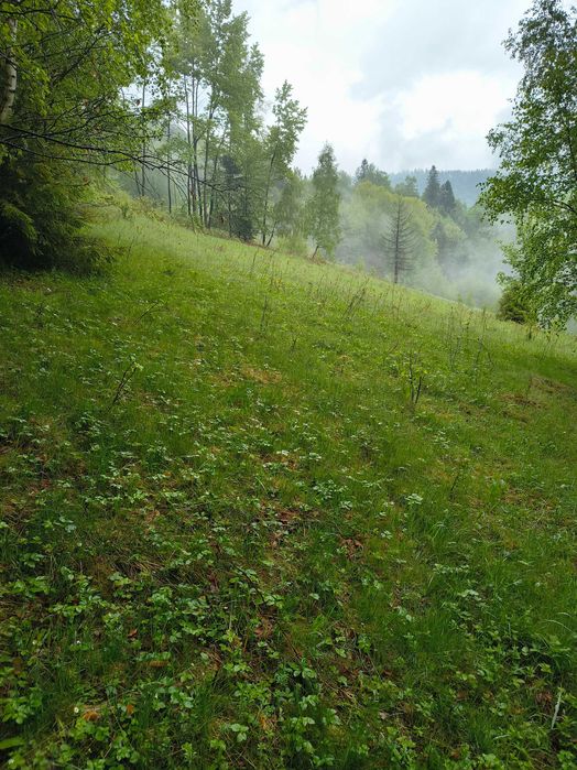 Działka budowlana