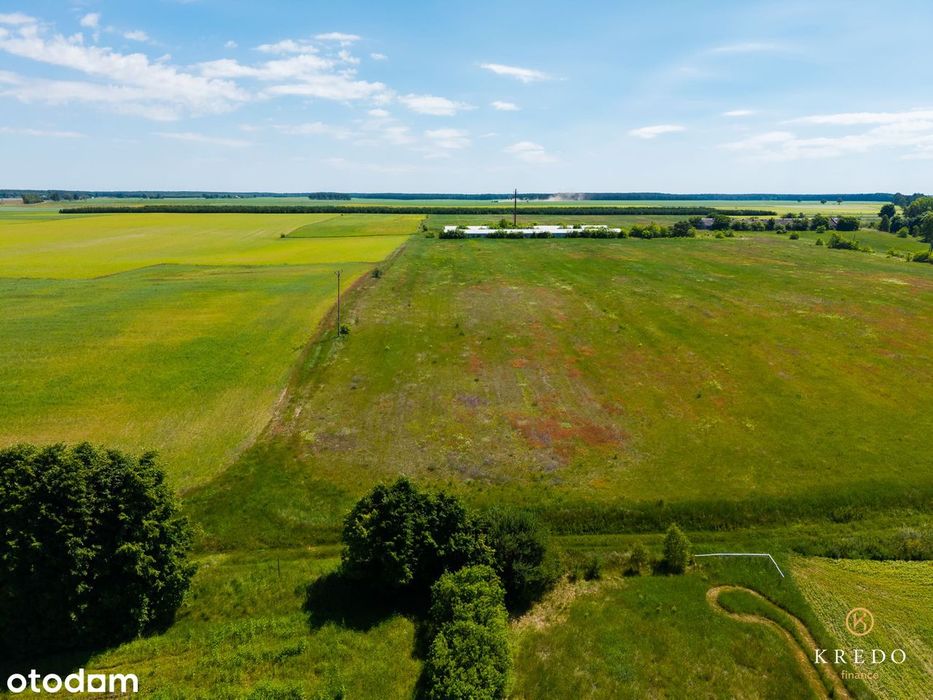 Działka budowlana 1,0036 ha | WZ | Duży potencjał inwest. | Koczała