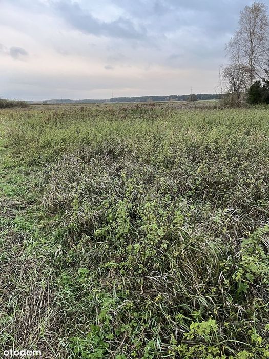 Sprzedam działkę z możliwością zabudowy 2 domów. 3800mkw.