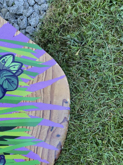Skimboard (surfboard)