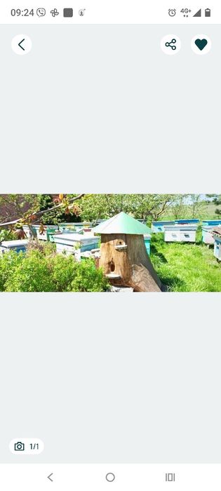 Розпродаж пасіку. 25 бджоло сімей