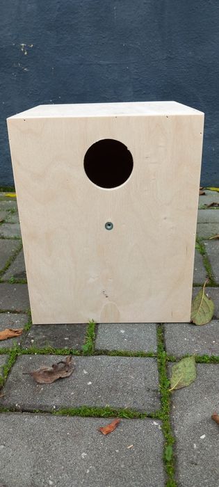 Ninhos novos agapornis caturras