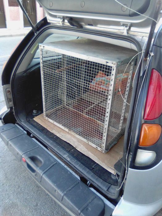 vendo Gaiola grande para pássaros