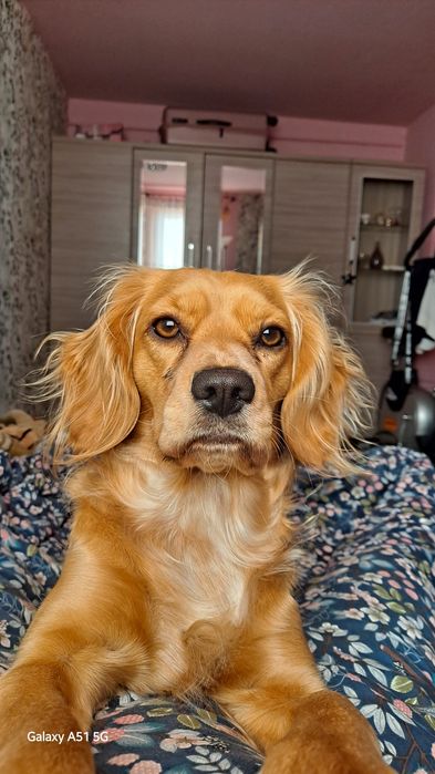 Nadal szukamy,nagroda za pomoc w odnalezieniu jej