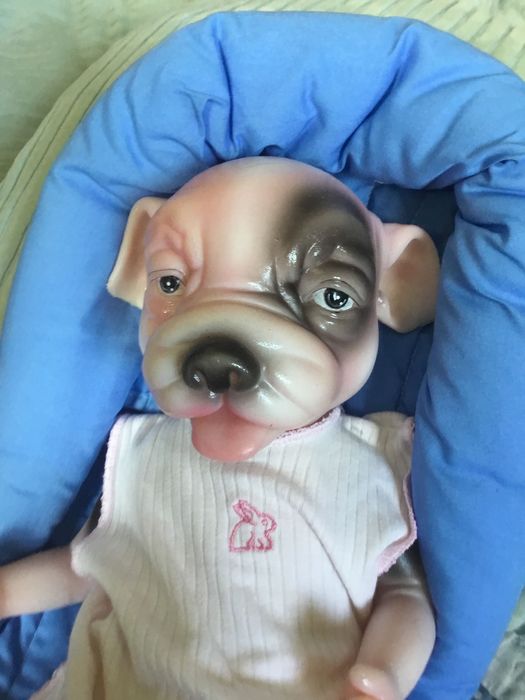 Cachorro reborn ( verdadeiro silicone) Cosdoll