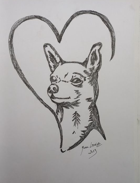 Ilustração por fotografia do seu animal de estimação