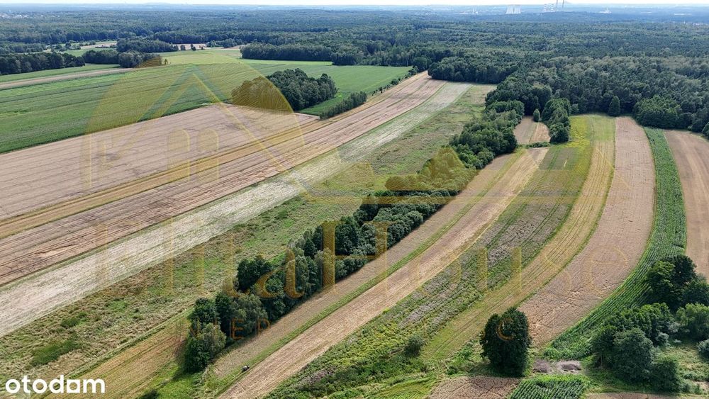 7200 m² | 1800 m² budowlane | Wilcza | Potencjał inwestycyjny