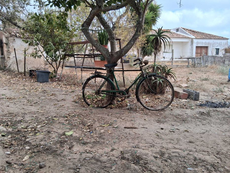 2 Bicicletas classicas