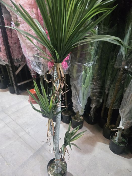 Palmeiras lindissimas 160 cm para decorações