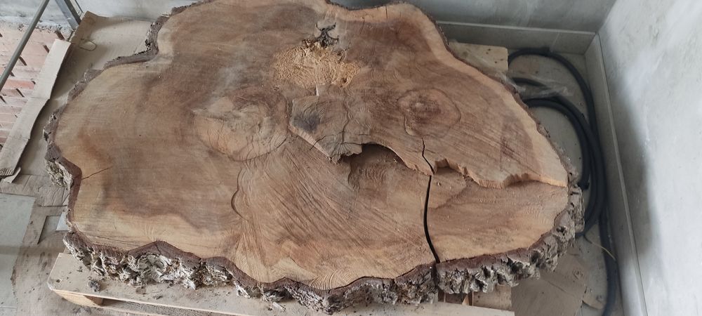 Слеб, срезиз ореха большой