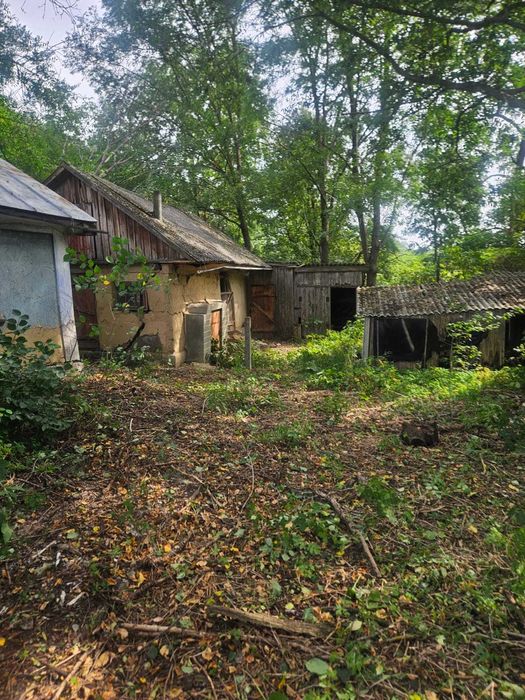 Здам будинок для переселенців