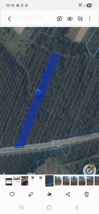 Super oferta!!! Sprzedam las