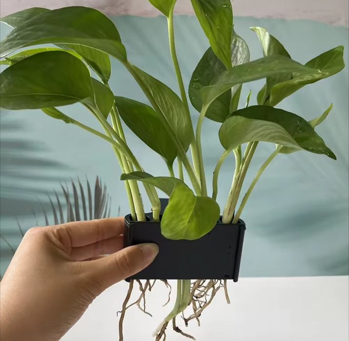 Тримач для рослин для аквапоніки/гідропоніки в акваріум 2 шт