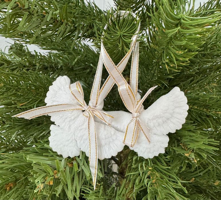 Продам новорічні голуби