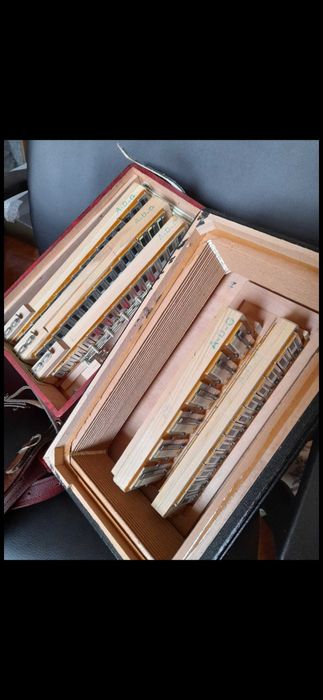 Concertinas hohner
