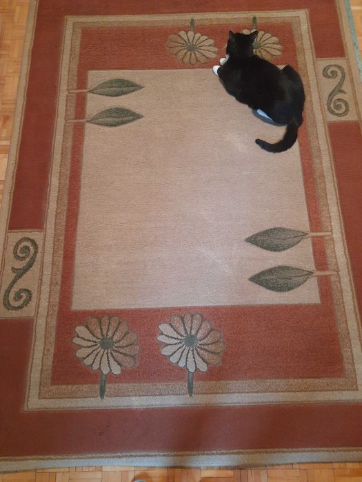 Dywan do salonu, jadaln