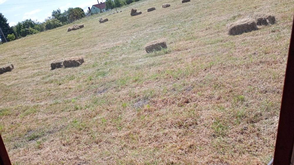 Siano kostka pogodne ekologiczne kostka słoma