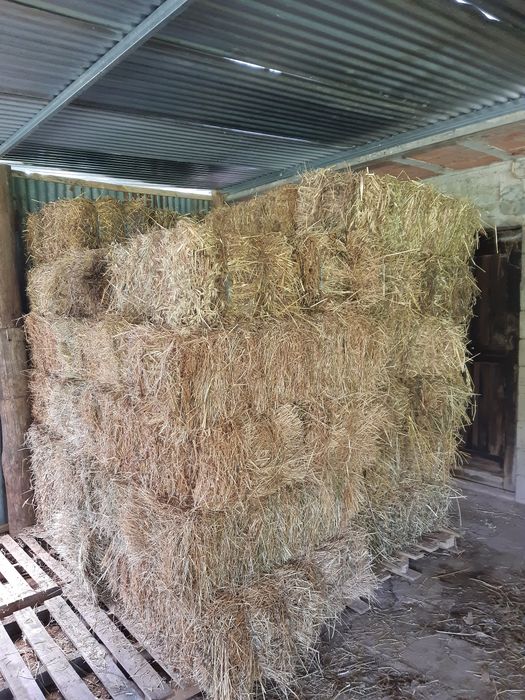 Vende-se fardos palha