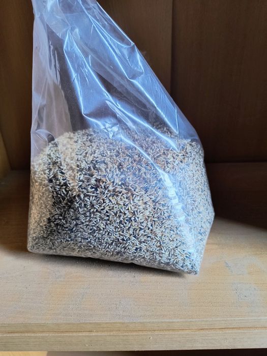 Nasiona Chaber bławatek czysty 4 kg