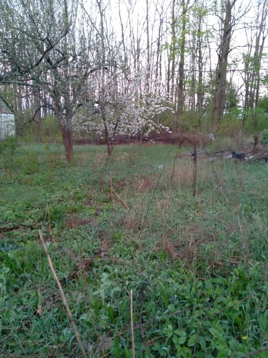 Продам участок під будівництво 50 соток