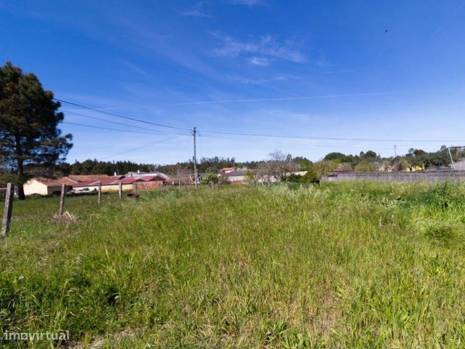Terreno - Lote