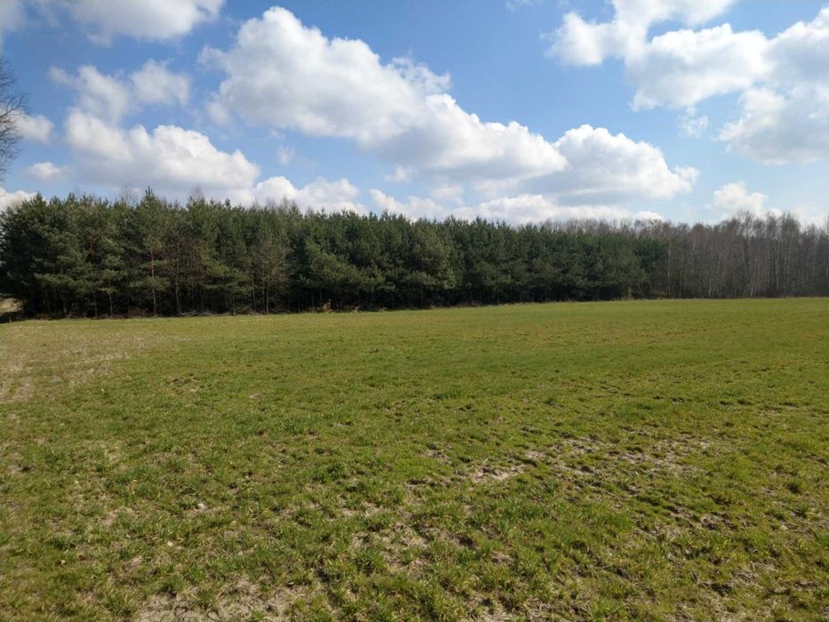 Działka budowlana na sprzedaż Rudzienko