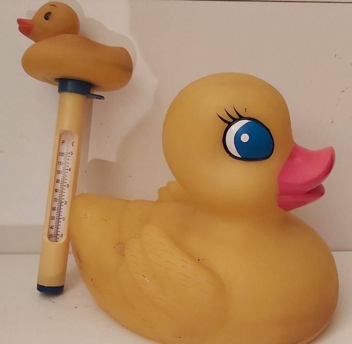 Termómetro para piscina e pato preço conjunto