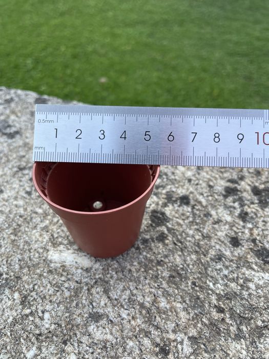 Conjunto de 50 vasos de plástico 5,5 cm.