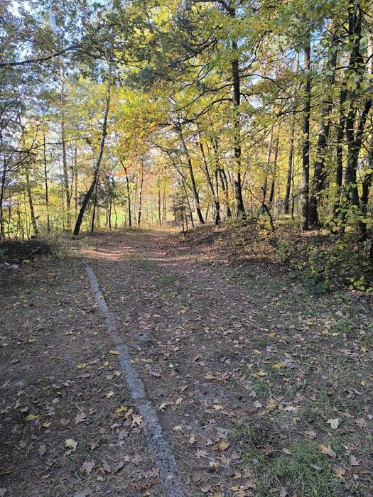 Piękna działka leśno rekreacyjna