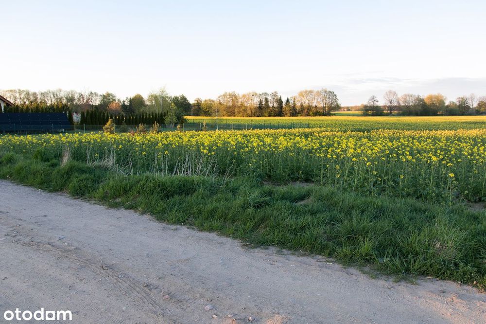 Działka budowlana 1 138 m² w spokojnej i pięknej okolicy - View 4