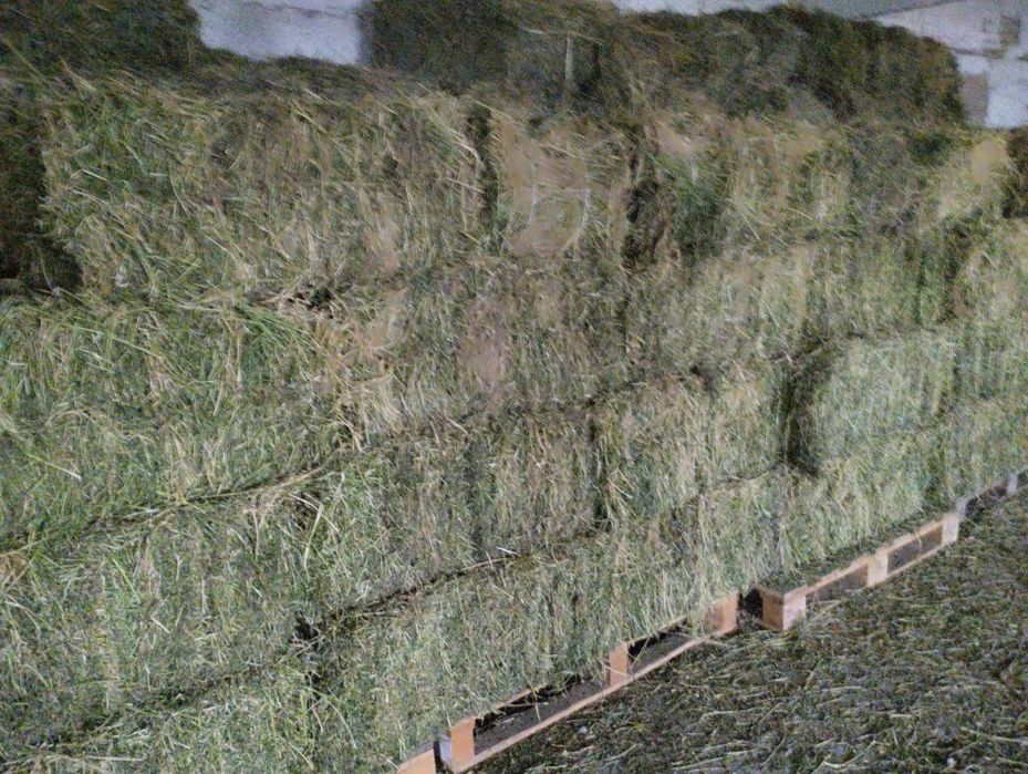 Продам люцерну в тюках