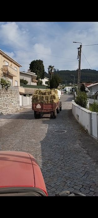 Fardos palha retangular