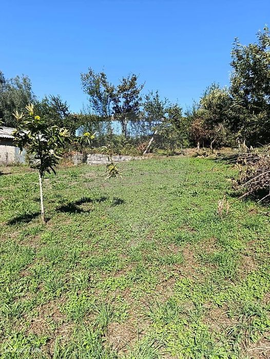 Terreno  para venda