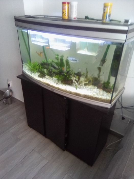 Aquário de aquário quente